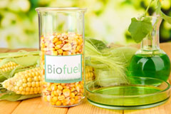 Lower Buckland biofuel availability