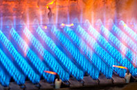 Lower Buckland gas fired boilers